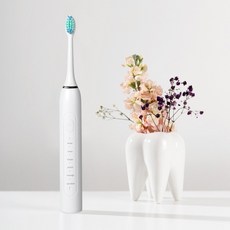 나오 충전식 SIX 모드 음파 전동치솔 NAO-L4100T, 1개