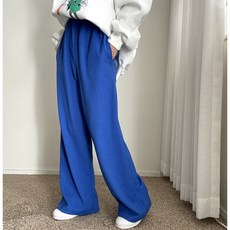 에이치스 힙걸 비비드컬러 하체커버 와이드핏 밴딩 무지 트레이닝 롱롱 팬츠