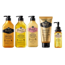 프로폴리테라컨디셔너