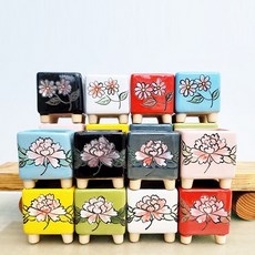 행복한꽃그릇다육이화분