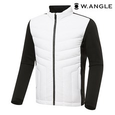 와이드앵글스윙다운