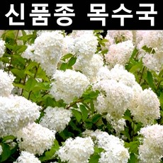 cb3e8cf4584af7561678395782c669b4a22bdda48845751a53cfe6c5ccc2.jpg