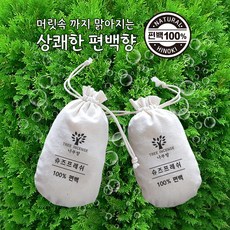 천연 편백 100% 운동화 냄새제거 구두 골프화 등산화 신발 발냄새 제거제 습기제거, 슈즈프레쉬(단품), 1개, 70g