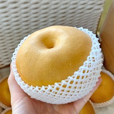 (나리배) 나주배 가정용 특품 15KG 21-25과