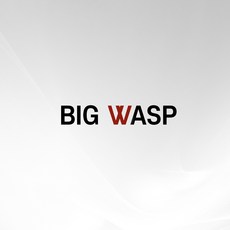 빅와스프 옴브레 SMP니들, 0803RL25, 1개