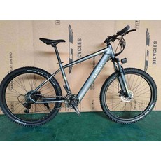 서울전기자전거대여