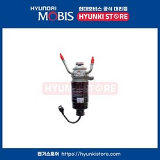  포터2 순정 연료필터 (319704F800) 