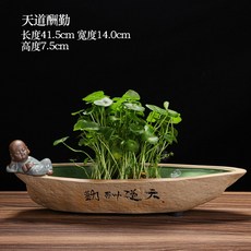 접이식침대 초벌 거친도자기 화분 참선 고풍스러운 동전 아이디어 꽃병 테이블위 나뭇잎, T04-빅사이즈 천도수근+중 책-미포함 식물