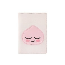 카카오프렌즈여권