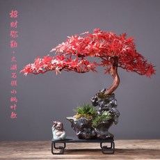 1218aeb36d23bdf28709b641a667e62a4437bb916da3a675b08412cd5e45.jpg