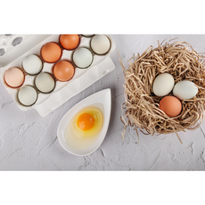난각번호1번 방사 계란 유정란 자연방사 방목 달걀 산속식육점 20구 30구 40구