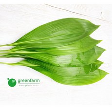 와이업악세사리