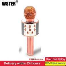 wster마이크