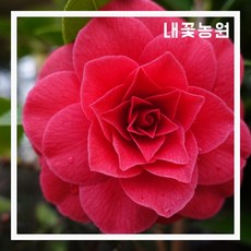 d75242ae0183a732fac6ad20a44958263a0903a106d9cfe3eeec08009ad0.jpg