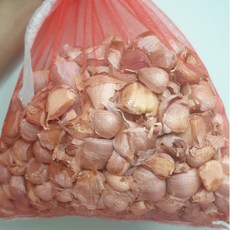 산마늘