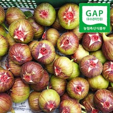 햇무화과