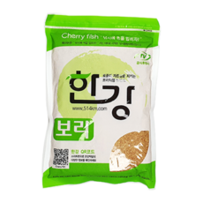 여의도한강보트