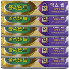 폴리덴트접착제 맥스씰 틀니접착제 70g, 6개, 1개입