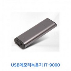 VRX443113USB메모리녹음기 IT-9000 8GB, 단일옵션