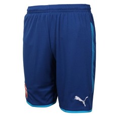 아스날레플리카