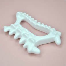 메디테라피속살괄사