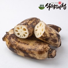 식탐대첩 국내산 비세척 생연근 1kg 특품 크기혼합, 1개