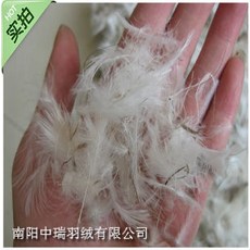 af9b100aff4ce70c175956713ca5cc9f69a05c025dcac73359d8deb87d5c.jpg
