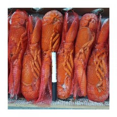 랍스타5kg