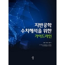 지반공학 수치해석을 위한 가이드라인, 씨아이알, M. Long