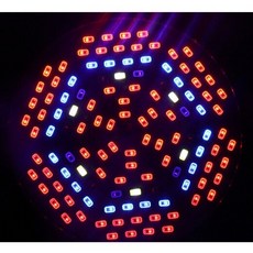 6290c7a0d4f07a6c6ab47a96fd256b53302b31426f3c96e9c5155064f577.jpg