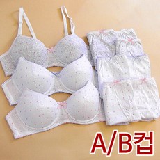크리비아 주니어3단계 A/B컵 면브라팬티10종(3CLB10B)75A~85B