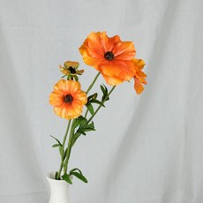 09c78565f6945a3596a1e3f502df9d4567bec9560757ea709dfe26196342.jpg