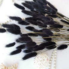 버니테일포푸리