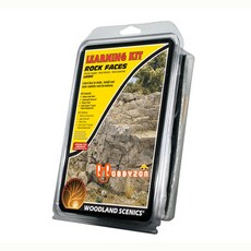 백조의호수국립발레단