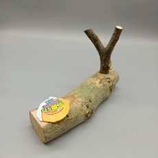  사슴벌레산란목 산란목 놀이목 장수풍뎅이 용품, 프리 클라이밍 Y젤리 플랫폼 