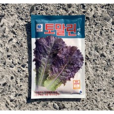  상추종자/토말린10 000립/흑치마상추/적색상추 