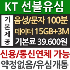 kt선불폰