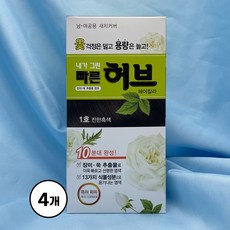 광동제약 내가그린 빠른허브 약국정품 셀프염색, 1호 진한흑색, 4개
