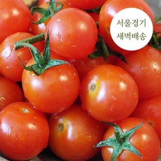 깜빠리토마토