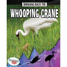 Bringing Back the Whooping Crane Paperback, Crabtree Publishing Company