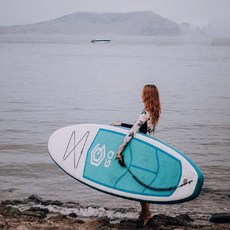 서핑보드 롱 숏 보드 웨이크 서핑 패들보드 패들 물놀이 파도타기, 레이크 블루-알루미늄 합금 패들 패키지