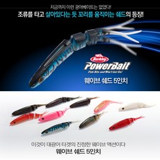 팰시마
