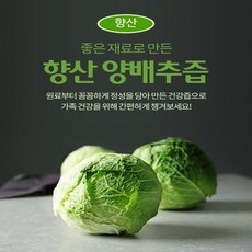 국내산 양배추즙50포(특별할인) 자색양파즙 배즙 포도즙 닭발우슬즙 호박즙, 50포, 110ml