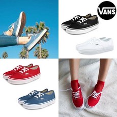 반스수단브라운