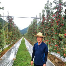 소백산골사람들 부사 사과 경북 영주 3kg 5kg 10kg 선물용 못난이 가정용 선물세트, 1개, 가정용 못난이/3kg중과 (~10수)