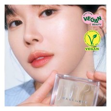 웨이크메이크볼륨쉐딩