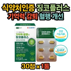 gmp기술인