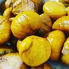 오프라이스알단밤