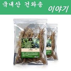 해피스토어70 국내산 건와송 (말린 와송), 4개, 100g