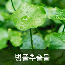 병풀추출물